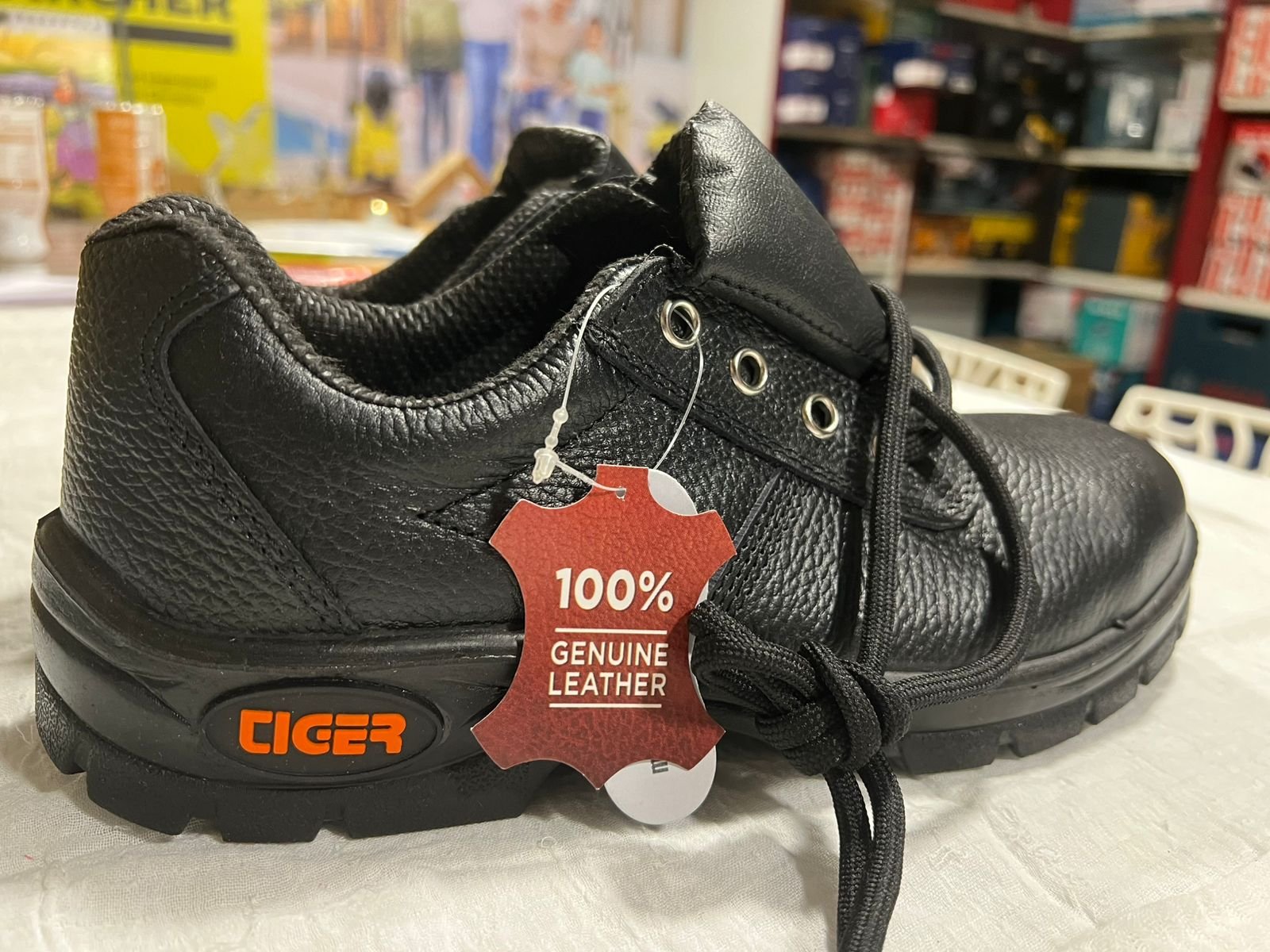 WhatsApp Image 2026 03 21 At 9.10.28 PM 2